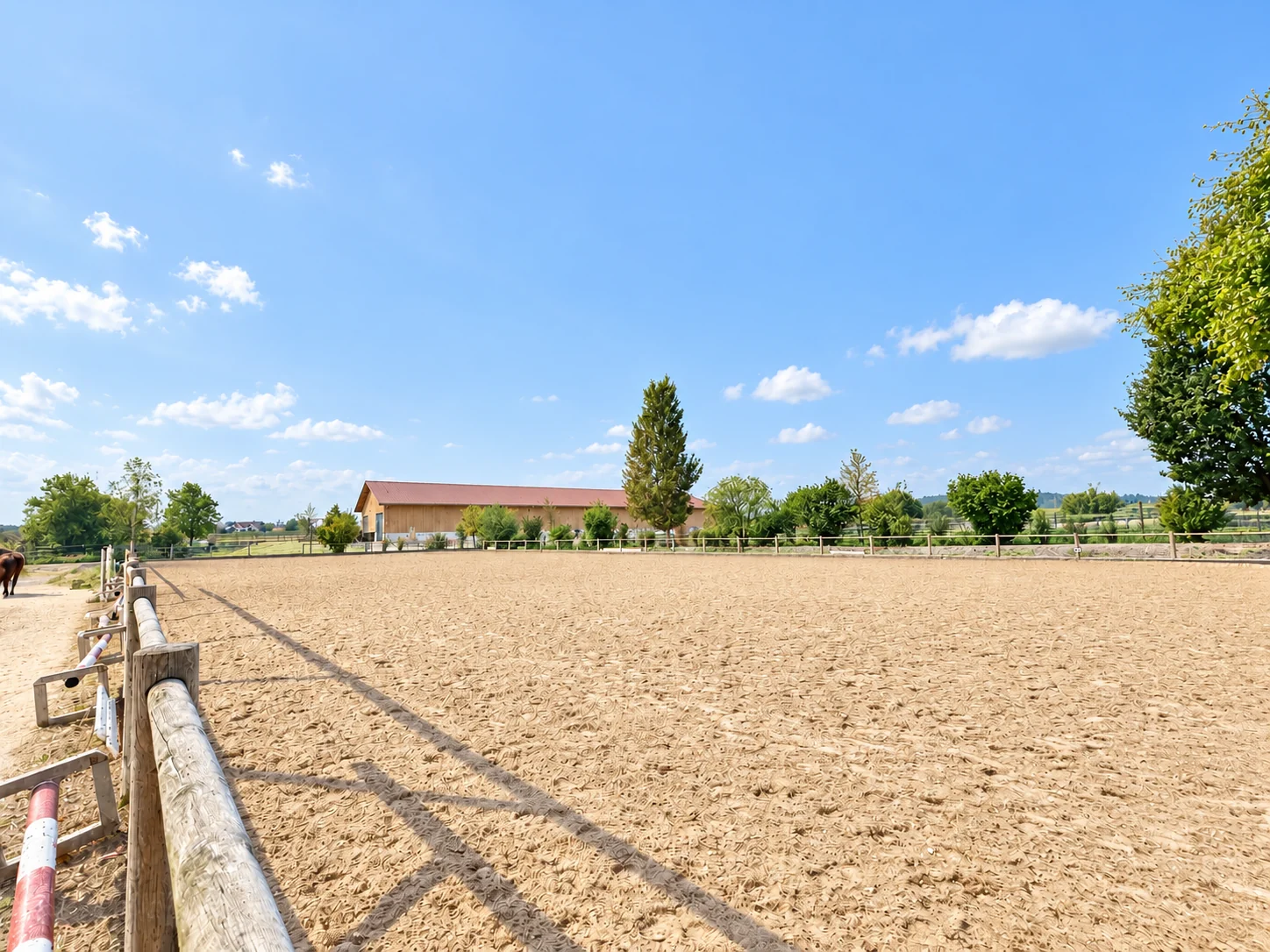 Der Außenreitplatz mit der Halle im Hintergrund