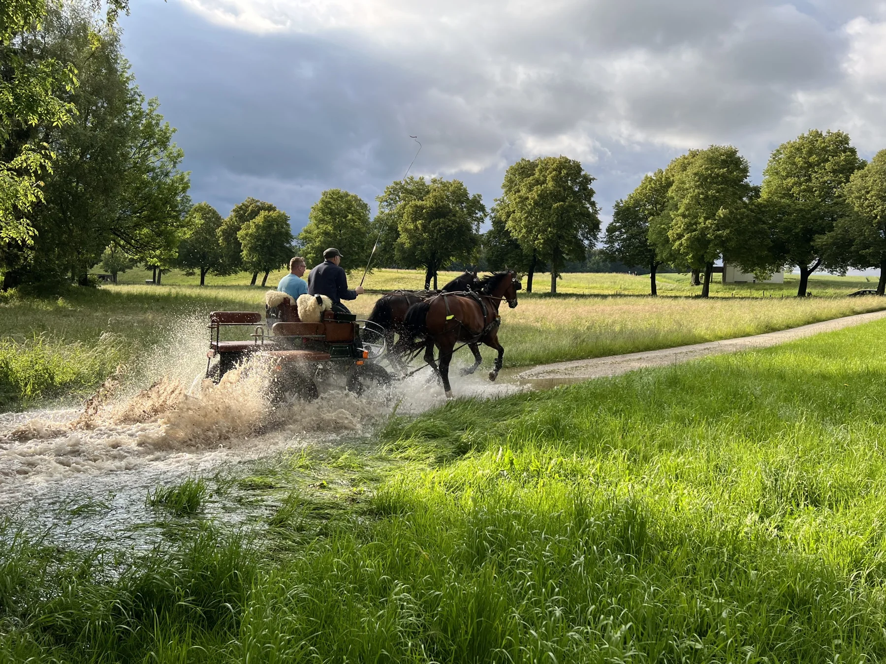 Pferdegespann mit Kutsche bei einer Fahrt durch das Wasser