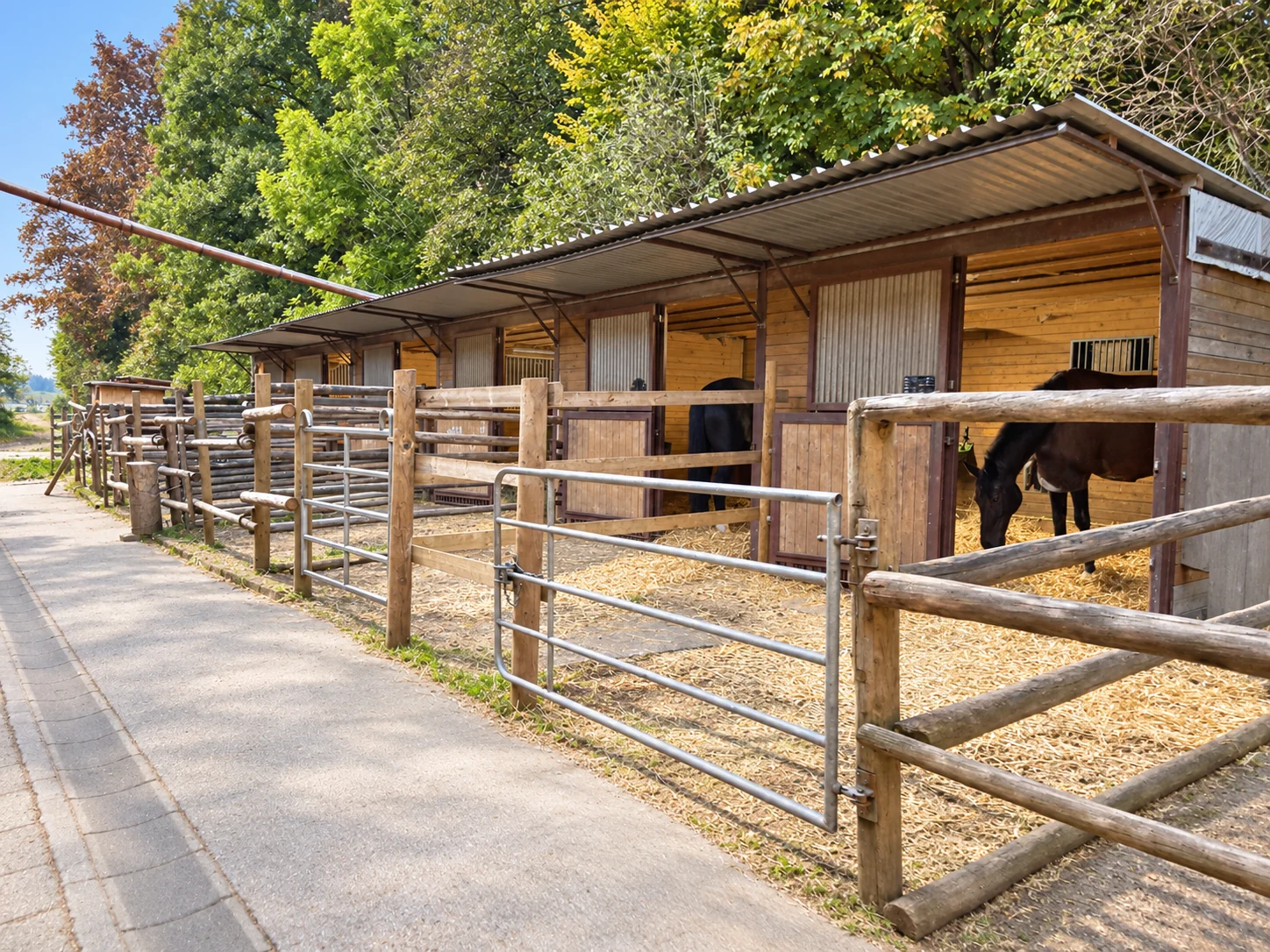 Außenboxen mit zugehörigen Paddocks