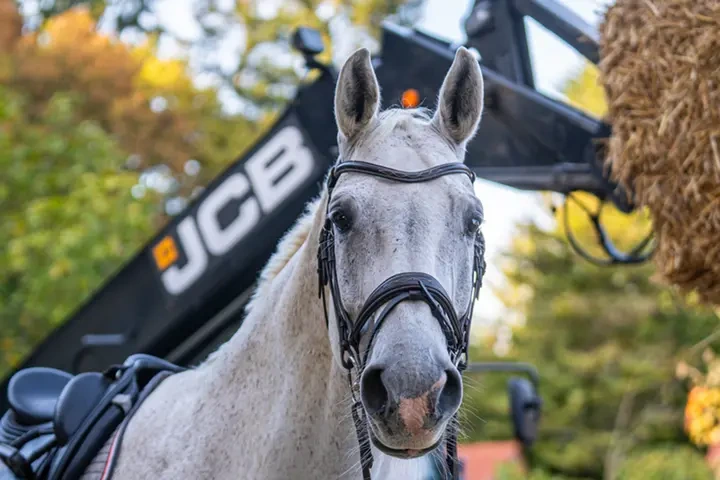 Pferd und Landtechnik mit Strohballen
