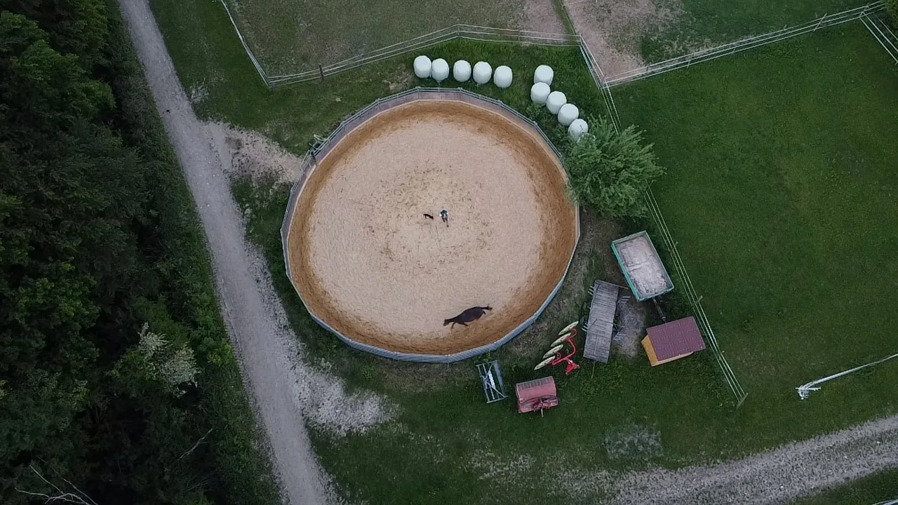 Der runde Longierzirkel aus der Vogelperspektive