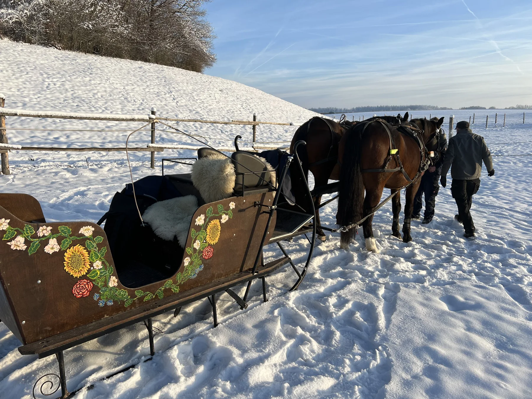 Pferdeschlitten und Gespann auf einer verschneiten Wiese
